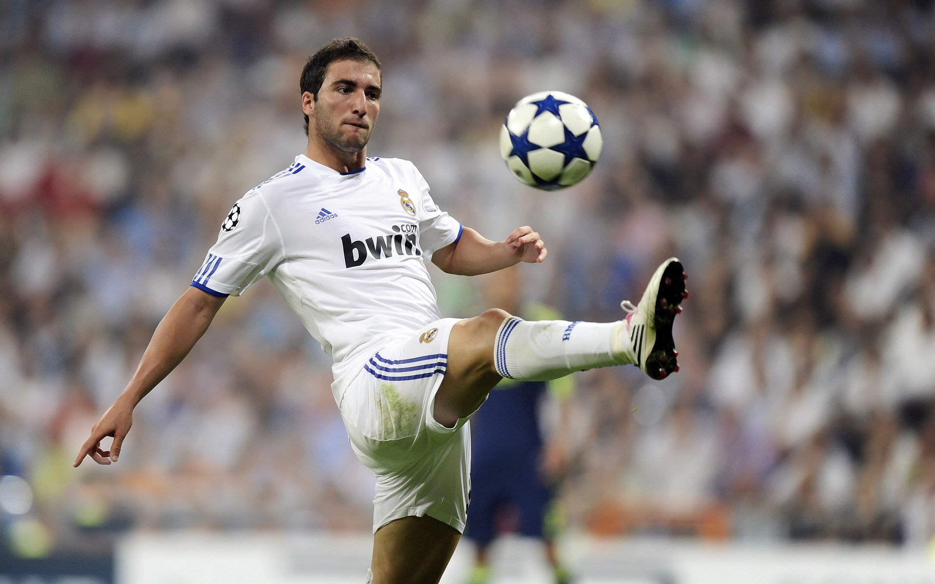 热门比赛现场花絮解读，比赛花絮什么意思